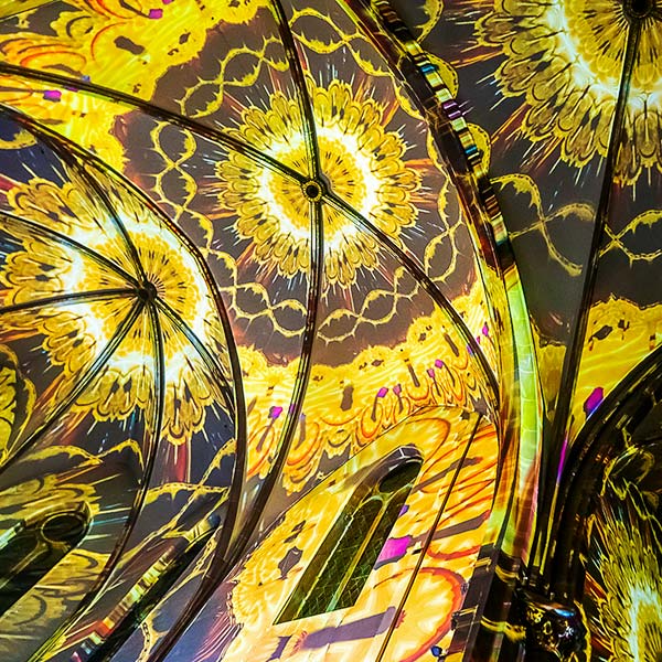 Damien Fontaine Terra Alsatia 2025